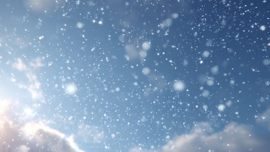 Winter Hair Woes: How to Fight Dryness, Breakage and Static